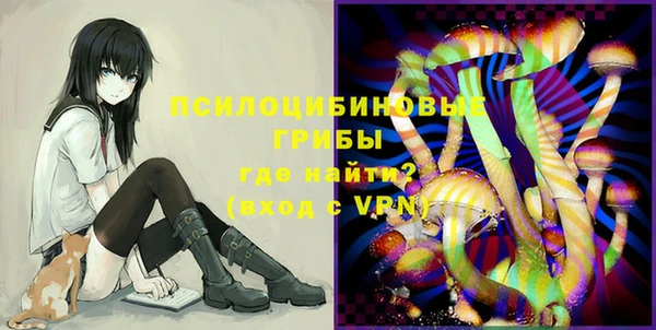индика Алексеевка