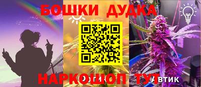 прущие крисы Владимир