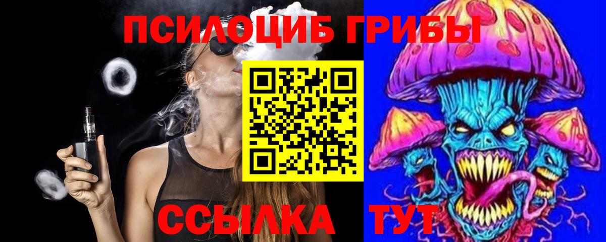Старая Русса  Псилоцибиновые грибы прущие грибы  Вход с VPN 