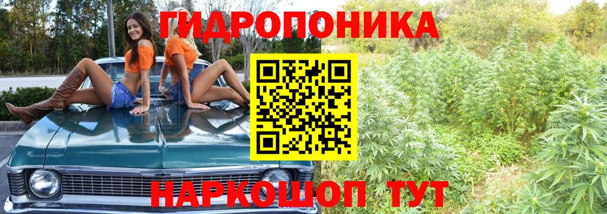 Каннабис White Widow  Вход с VPN  Старая Русса  Канабис Bruce Banner  Марихуана планчик 